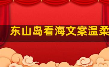 东山岛看海文案温柔句子