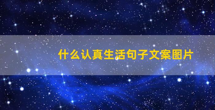 什么认真生活句子文案图片