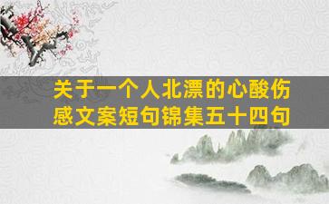 关于一个人北漂的心酸伤感文案短句锦集五十四句