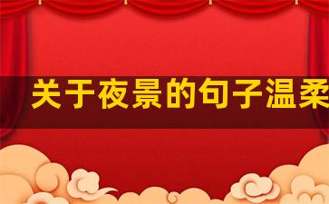 关于夜景的句子温柔短句