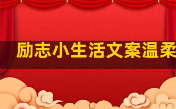 励志小生活文案温柔句子