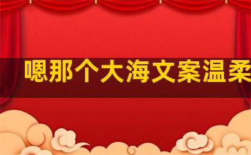 嗯那个大海文案温柔句子