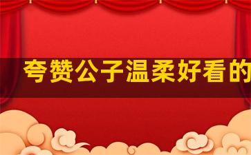 夸赞公子温柔好看的句子