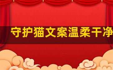 守护猫文案温柔干净句子