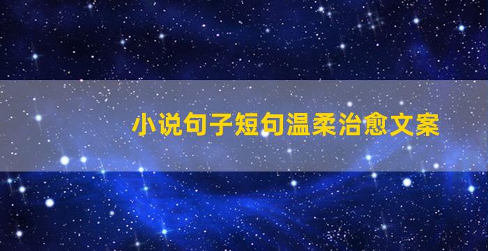 小说句子短句温柔治愈文案