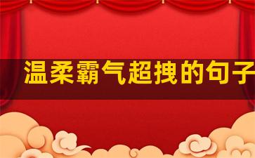 温柔霸气超拽的句子说说