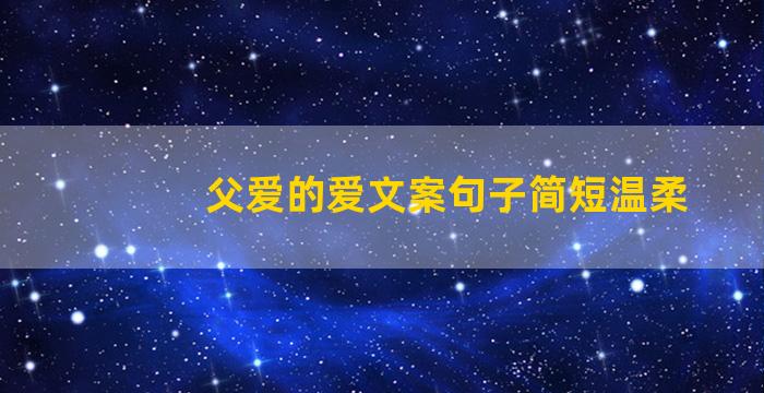 父爱的爱文案句子简短温柔