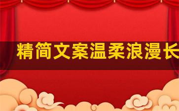 精简文案温柔浪漫长句子